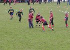 Liskeard-Looe v Perranporth  Liskeard-Looe v Perranporth